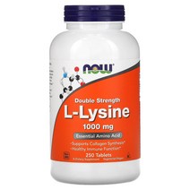 NOW L-Lysine Double Strength 1000 mg 250정
