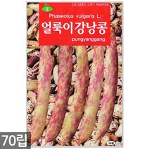 백작두콩 씨앗 10립 - 작두콩 작두콩씨앗 작두콩씨 콩씨앗 콩씨 씨 주말농장 텃밭, 15_얼룩이강낭콩(70립)