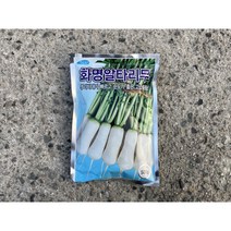 알타리종자/화명알타리/500g (약1리터) 1봉