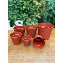 토분모양 플라스틱화분) 도기분 모종분 분갈이 연결구트레이, 50구 연결트레이 (도기 6cm)