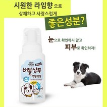 DAOM 국내산 워터리스 갱얼쥐 드라이 샴푸 2개 애견샴푸