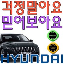 주유소 갈때 마다 불안 불안하면 6세대 그랜저 주유캡, 디젤(3448)_그린더하기화이트