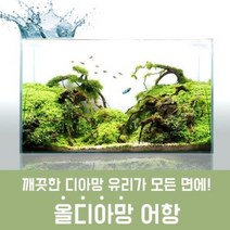 [올디아망어항]1자배럭어항 30X45X45cm 30배럭수조
