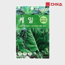 [다이소]초록스타케일-46417