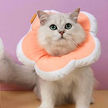 피부과 고양이 목고정 이쁜 핑크 넥카라 펫방석 장모, 핑크(S)