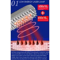 LED 두피 관리기 탈모 방지 전동 케어기기 진동 브러쉬 빗 치료기 모발 가정용 모발 레이저 마사지기, 기본형