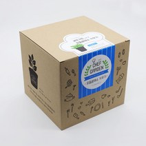 셰프가든 쑥갓 키우기 홈가드닝 채소 쌈채소 씨앗 기르기 화분 세트