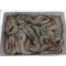 국내산 자연산 대하 제철 깐 대하 왕새우 급냉 1KG 17~25미내외, 깐 손질 대하500g