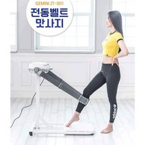 흔들림 없는 안정성! 제미니 전동벨트 마사지기 벨트마사지기 스트레칭 마사지 체지방관리 다이어트 몸매관리 피트니스 헬스장 전동벨트마사지 덜덜이 전신마사, 1개