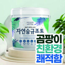 결로방지페인트 자연숨 규조토페인트 18kg 곰팡이방지 벽지 항균 베란다 실내 단열페인트, 19.라임A(하단 색상표참조), 1개