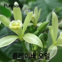 퓨어솝 바닐라 플레이버오일(cosmetic 등급) 립밤만들때첨가 캔들 디퓨져 화장품 만들기, 50ml