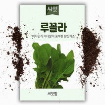 루꼴라씨앗 (2000립), 1개