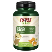 NOW PETS 반려동물 강아지 고양이 신장 Kidney 파우더 119g, 1개