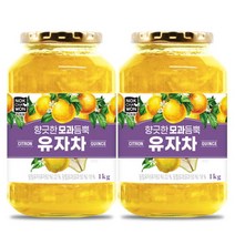 녹차원 모과듬뿍 유자차 1kg x2개+스티로폼 안전포장, 없음, 1000g