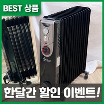 루다드림 라디에이터 가정용 전기 발열 사무실 욕실 방열기, 13핀