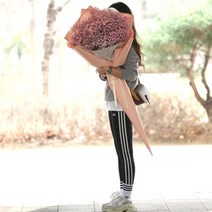 플라워테일 퐁퐁 대형 꽃다발 전국 택배 배달서비스 폼폰 자이언트 대왕 초대형 졸업식 학사모 여자친구 와이프 아내 생일 100일 200일 1주년 결혼기념일 선물, 자나장미안개대형꽃다발