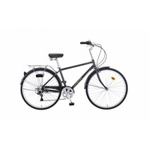 [삼천리자전거] 로드럭스 26인치 시티형 자전거 2021, 갤럭시 다크 실버