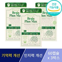 포스파티딜세린 징코 기억력 인지력 개선 은행잎추출물 뇌 두뇌 영양제 수험생 부모님 선물, 3박스