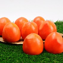 누리원 영암금정대봉감 고당도 달콤한 햇 대봉감 감중에 으뜸!, 1박스, 4.5kg  (22~25과)