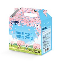 엠피가드 선물세트 국내산 KF-AD 마스크 대형 100매, 100개입, 1박스, 화이트