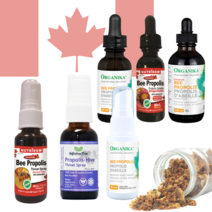 캐나다산 유기농 프로폴리스 스프레이 기획전 고함량 면역력영양제 원액 항산화, 인피니트리 스프레이형 30ML