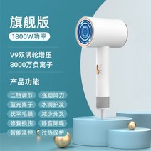 KICA JET FAN2 키카제트팬2 카이카제트팬2 에어건 제트팬 무선에어건 무선에어건 강풍 고출력, Haoyuebai【1800w】V9 모터 음이온 실키 컨