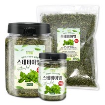 스테비아잎(인도) 모음 스테비아 잎차 설탕초 설탕대용, 스테비아잎[인도] 150g[통], 스테비아잎[인도] 150g[통]