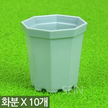 팔각 미니 플라스틱 화분 그레이 X 10개 - 어린이 식목일 행사 어린이집 유치원 플분 다육 선인장 식물 모종 삽목 인테리어 홈 가드닝