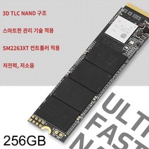 바이오스타 M700 M.2 2280 NVMe 256GB TLC 이엠텍, 1