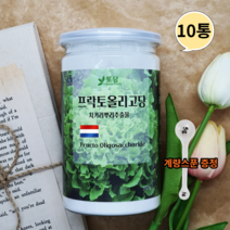네덜란드 프락토올리고당 분말 신프리바이오틱스 유산균분양 갈락토올리고당 이눌린 350g10통