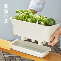 자급자족라이프 자동급수 화분 세트 (배양토+씨앗) 저면관수/베란다 텃밭 화분/상추 바질 루꼴라 방울토마도 중 2택, 상추, 방울토마토, 브라운