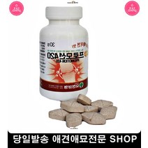 강아지탈골 애견슬개골탈구 강아지골절 강아지골절수술 애견영양제