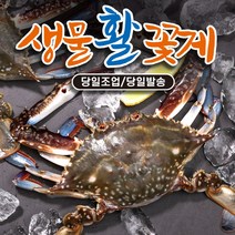 국산 서해안 활 꽃게 생물 암수혼합 숫꽃게 암꽃게 게 간장 양념 게장용 대 특대 1kg 2kg 3kg, 2. 생물 꽃게(암수혼합) 2kg(6~10미), 1개