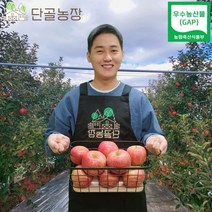 산지직송 밀양 스테비아급 고당도 얼음골 사과, 정품/5kg/대과/16~17과