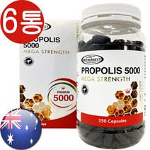 마더네스트 프리미엄 프로폴리스 5000mg 250캡슐 6통 본품+사은품 증정