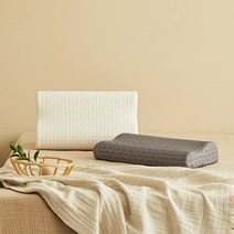 한샘 경추형 메모리폼 베개 커버세트, 단품