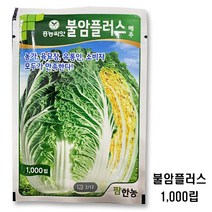 배추씨앗 무씨앗 돌산갓 청갓 적갓 당근 상추 텃밭 씨앗 모음집 김장배추 김장무 채소 야채씨앗, 27. 불암플러스1000립 (김장무)
