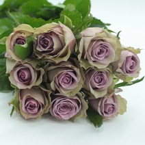 빈티지보라 장미꽃 생화택배 (고속터미널꽃시장 직배송) 꽃예꽃, 비슷한 느낌의 꽃으로 변경(다른꽃or다른색), 월요일 구매시 (수~목요일 도착)
