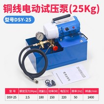 수압시험기 누수탐지기 압력 펌프 테스트 기계 자동, 01.SY-25(표준)25KG압력