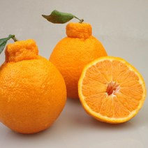 [넉넉한 과일] 제주 돌담농장 한라봉 소과 중과 대과 (1kg / 2.5kg /4.5kg)