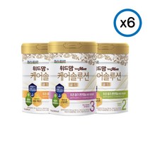 파스퇴르 위드맘 케어솔루션 1 2 3단계 750g x 6캔