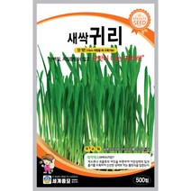 새싹 귀리500립 씨앗 세계