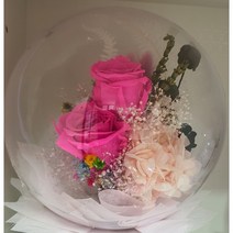 프리저브드 풍선볼 중 지름 15cm 높이 약 25cm 용산꽃집 로즈플로라, 핑크장미
