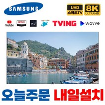 삼성전자 75인치(190cm) 네오 NEO QLED 8K UHD 스마트 TV QN75QN800, 수도권 외 벽걸이