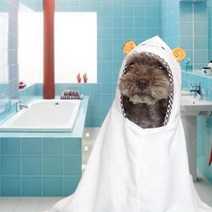 패리스독 반려동물 샤워가운 목욕타월겸용, 핑크토끼