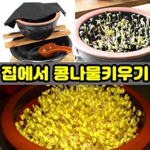 잡화킹 집에서 콩나물키우기 콩나물 재배기 기르기 세트 콩나물기계 시루 만들기 기르는법 키우는방법, 1set