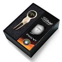 타이틀리스트 Pro V1 골프볼/그린보수기볼마커세트(골드) TP-210G