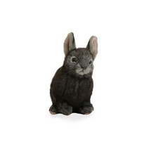 [한사토이] 8129 피그미토끼 회색 동물인형/18cm.L, 상세 설명 참조