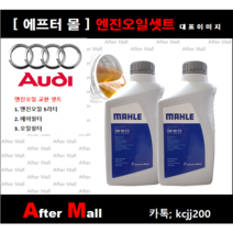 [아우디A8 엔진오일셋트] AUDI A8 4.2 FSI Quattro (CDRA), 1개