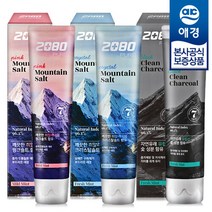 애경 2080 히말라야 마운틴 솔트/차콜 치약 120g x6개, 차콜
